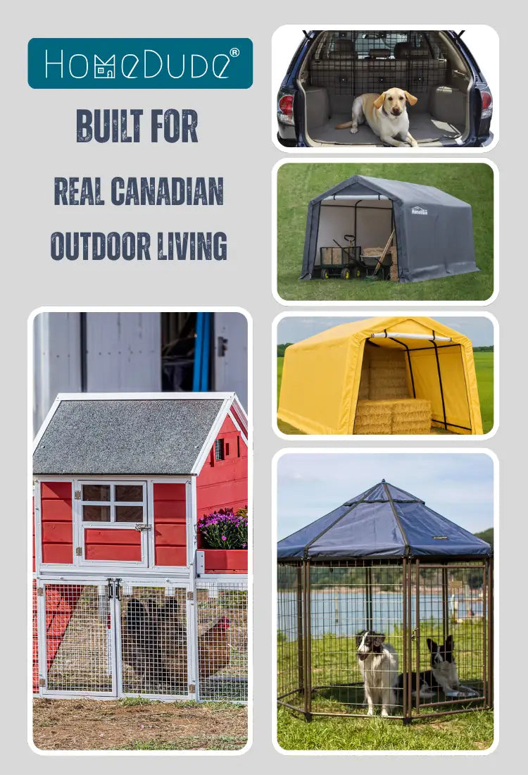 HomeDude made, shelters, horse supplies, dog barriers and chicken coop series, all built for Canadian Conditions