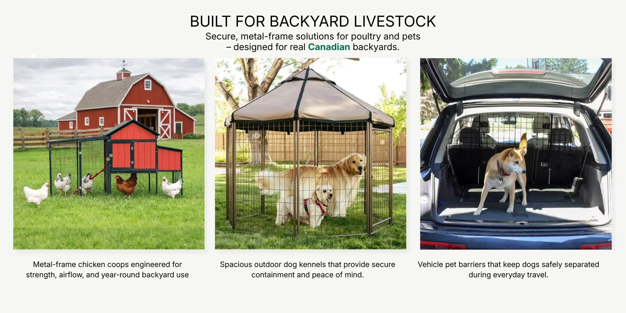 Product display of livestock enclosures including a chicken coop, outdoor dog kennel, and vehicle pet barrier.