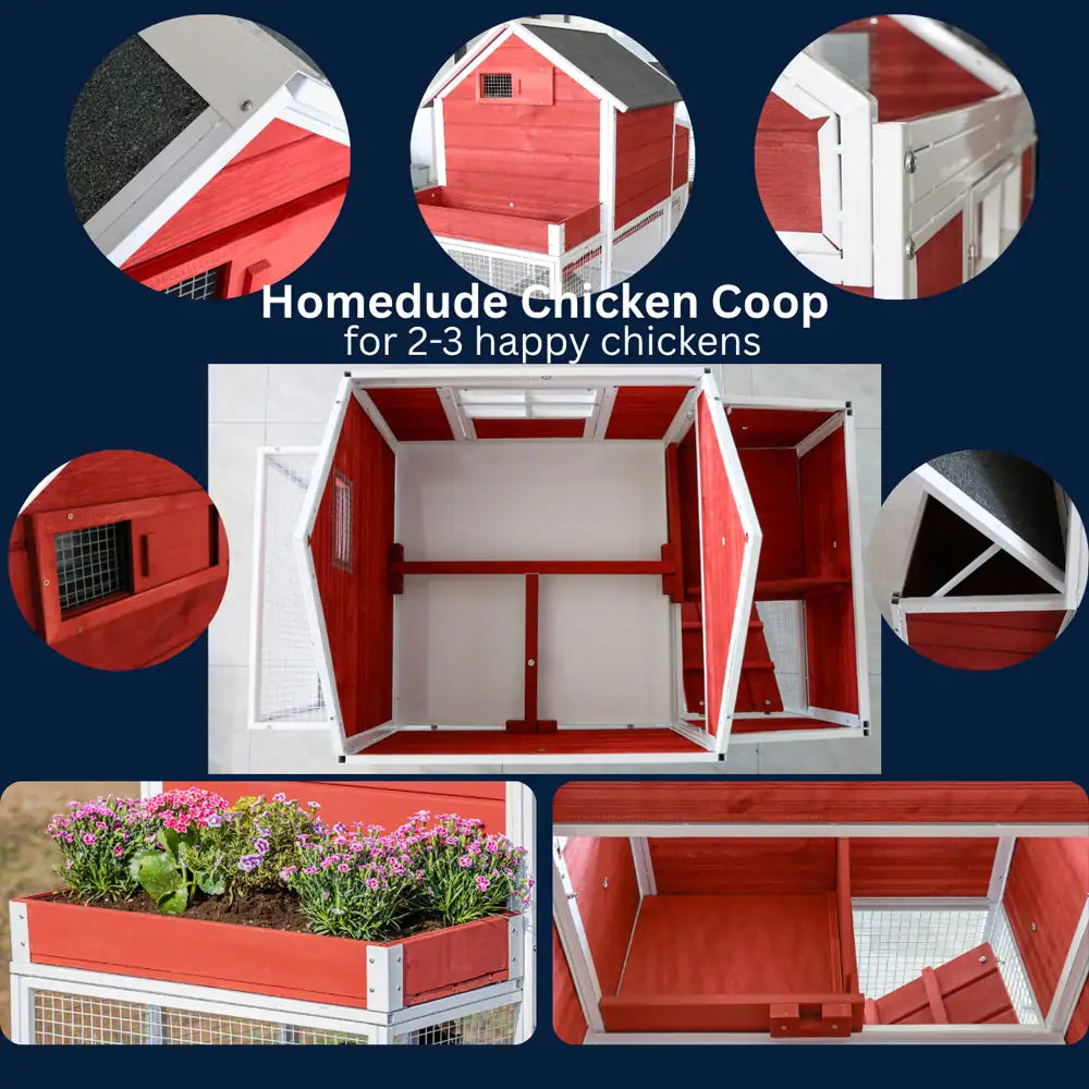 Homedude Chicken Coop with various views and features on a blue background