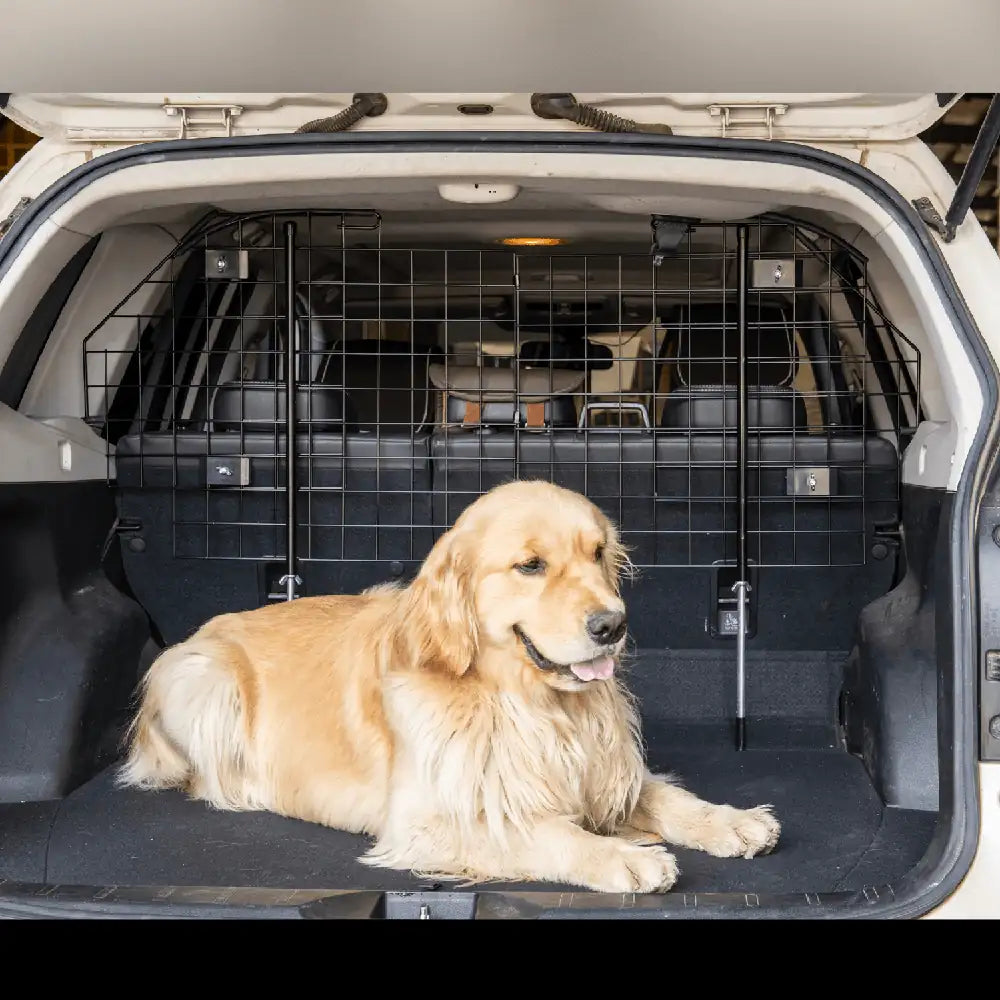 A Golden Retriever sitting in a SUV trunk with HomeDude pet barrier
