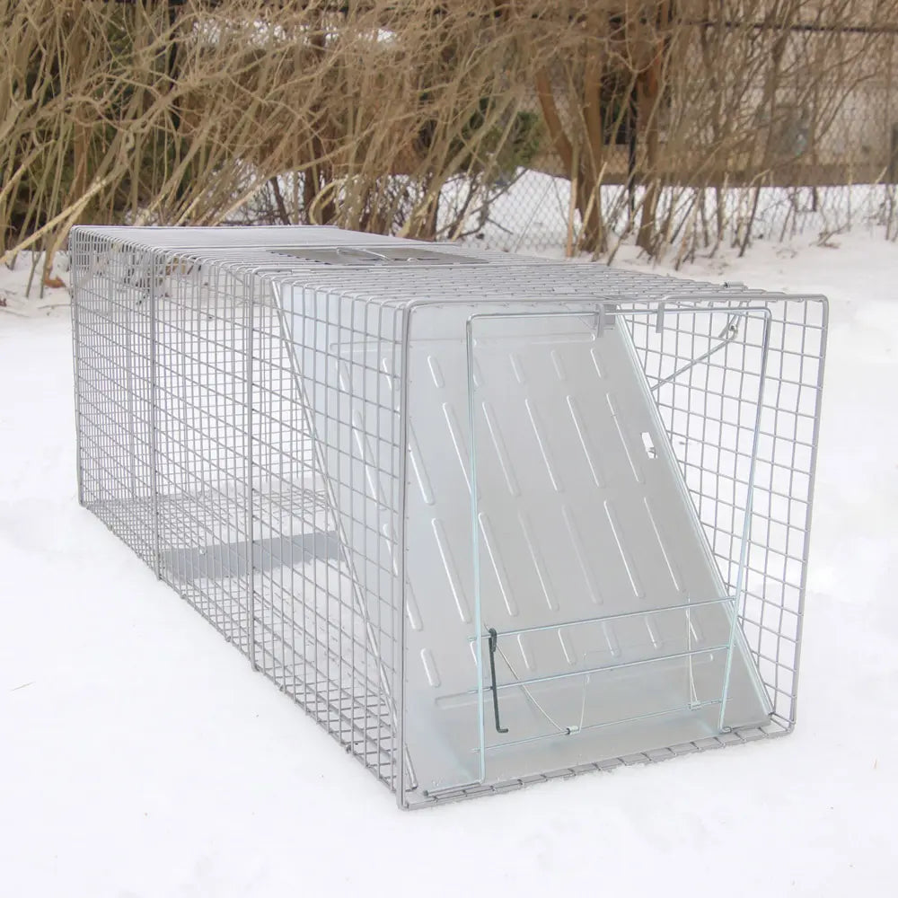 Metal wire cage in a snowy outdoor setting with bare trees.