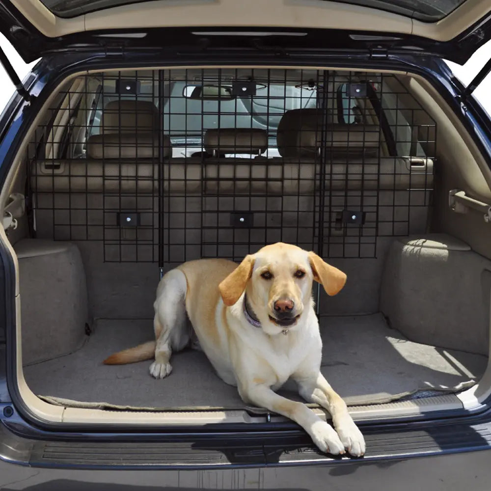 Dog sitting in a SUV with a pet safety Barrier