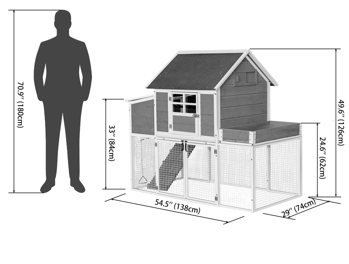 Chicken coop height comparison with adult human for scale