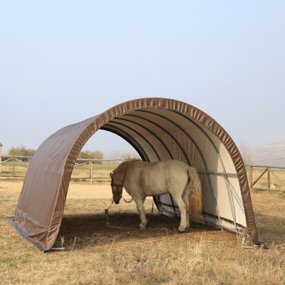 EQUINE SHED 12’x20’ ( 3.65 x 6.09m ) - HomeDude OakEQUINE SHED 12’x20’ ( 3.65 x 6.09m )ShelterHomeDude Oak