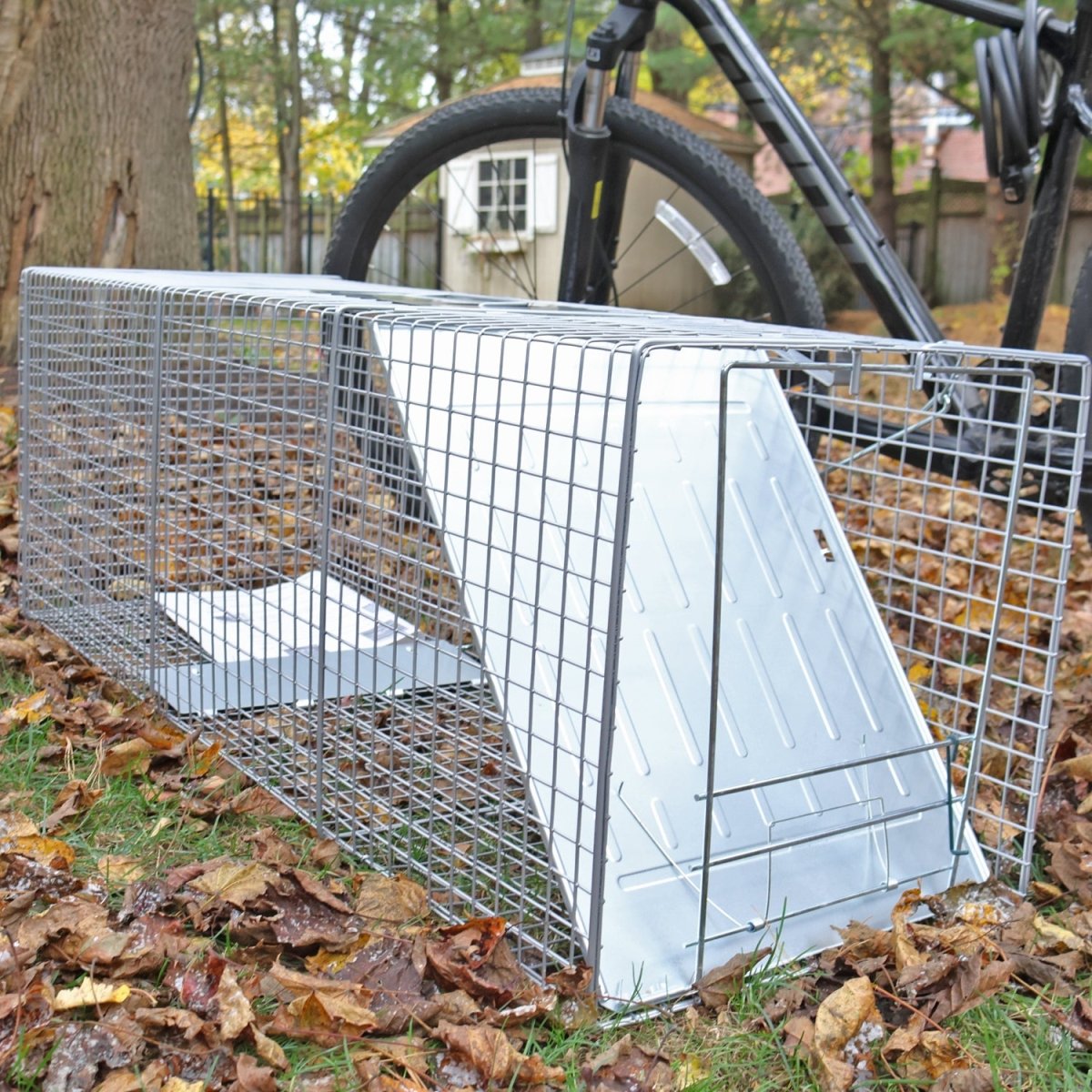 Heavy Duty Catch & Release Animal Trap - 42" x 15" x 15" (106.7 x 38.1 x 38.1 cm) - HomeDude OakHeavy Duty Catch & Release Animal Trap - 42" x 15" x 15" (106.7 x 38.1 x 38.1 cm)CATCH & RELEASE ANIMAL TRAPHomeDude Oak