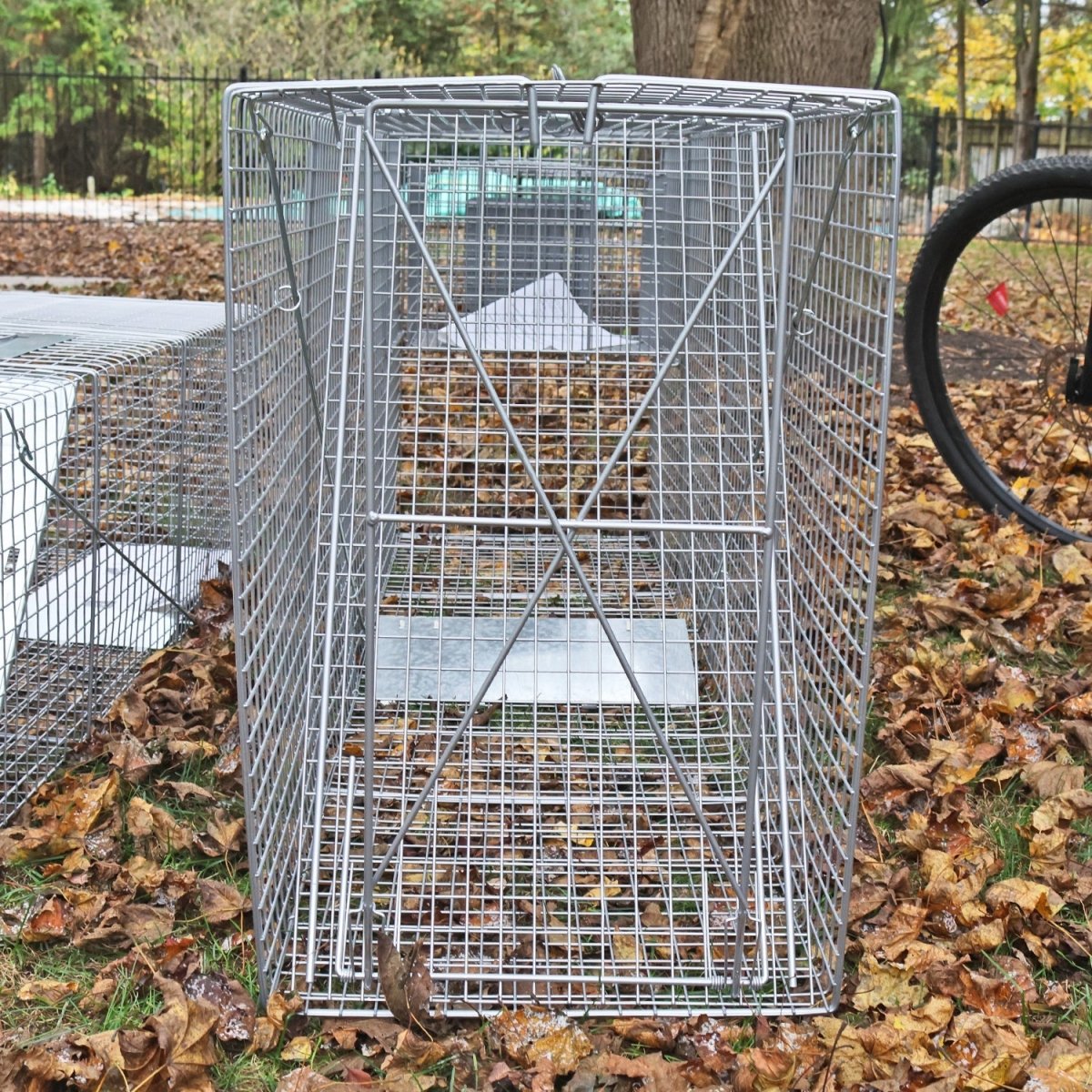 Heavy Duty Catch & Release Animal Trap - 58" x 17" x 26" (147.3 x 43.2 x 66 cm) - HomeDude OakHeavy Duty Catch & Release Animal Trap - 58" x 17" x 26" (147.3 x 43.2 x 66 cm)CATCH & RELEASE ANIMAL TRAPHomeDude Oak