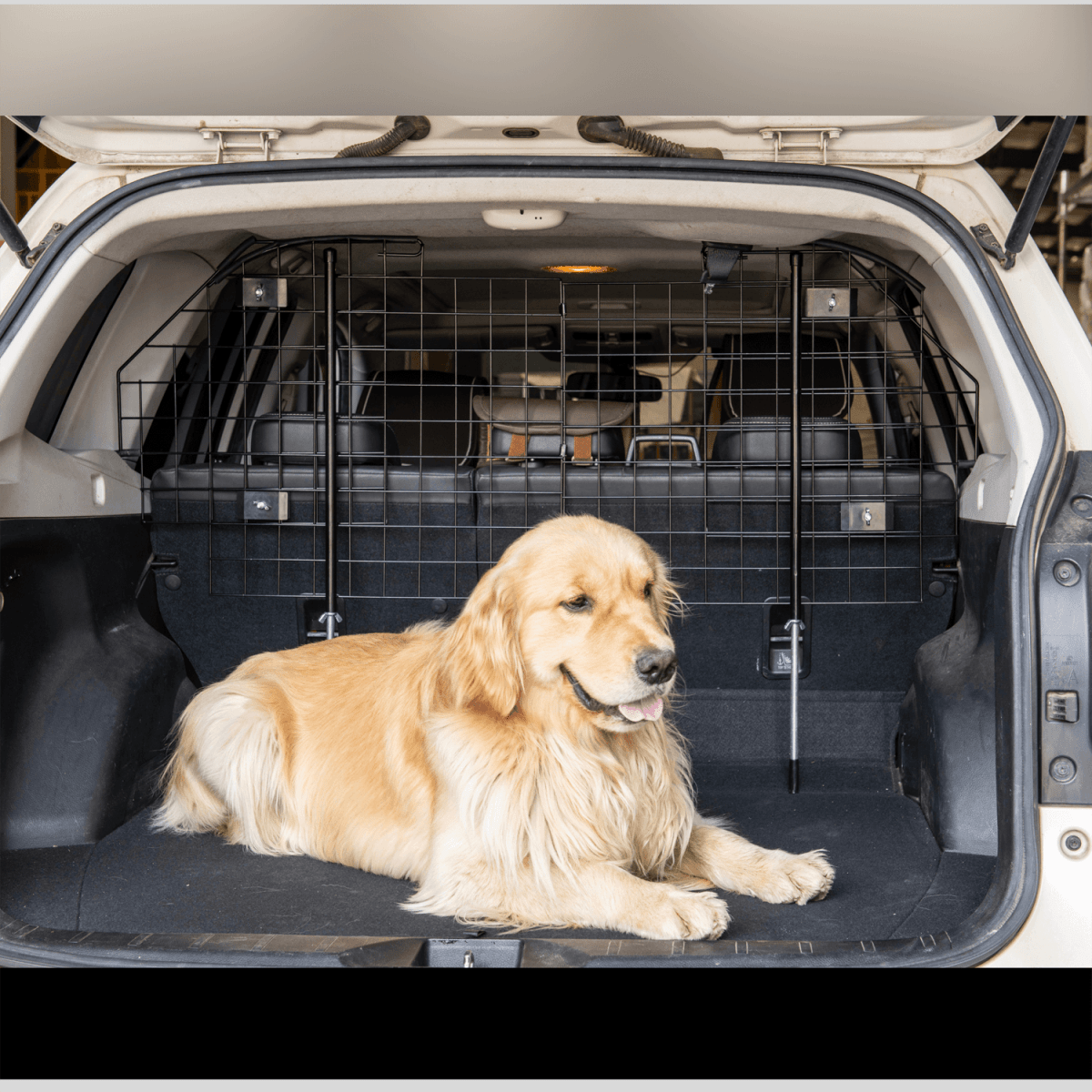 Pet Barrier for SUVs | Compact Mesh Design, Adjustable Fit | Homedude - HomeDudePet Barrier for SUVs | Compact Mesh Design, Adjustable Fit | HomedudeSUV Dog BarrierHomeDude
